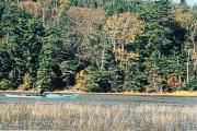 Don paddling in BM Creek