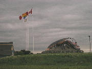 Welcome to Shediac - where lobsters grow BIG!