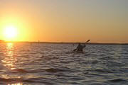 Kilby paddling off into the sunset
