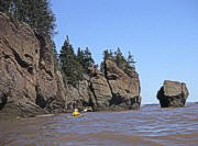 Don at Hopewell Rocks - March 12